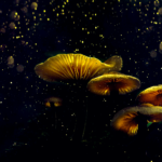 Nature.png